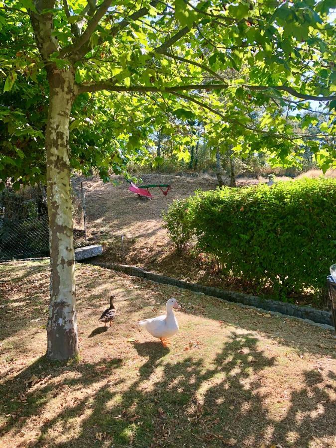 Villa Casa Da Quinta Da Prelada Simao Partie Basse Celorico De Basto Esterno foto