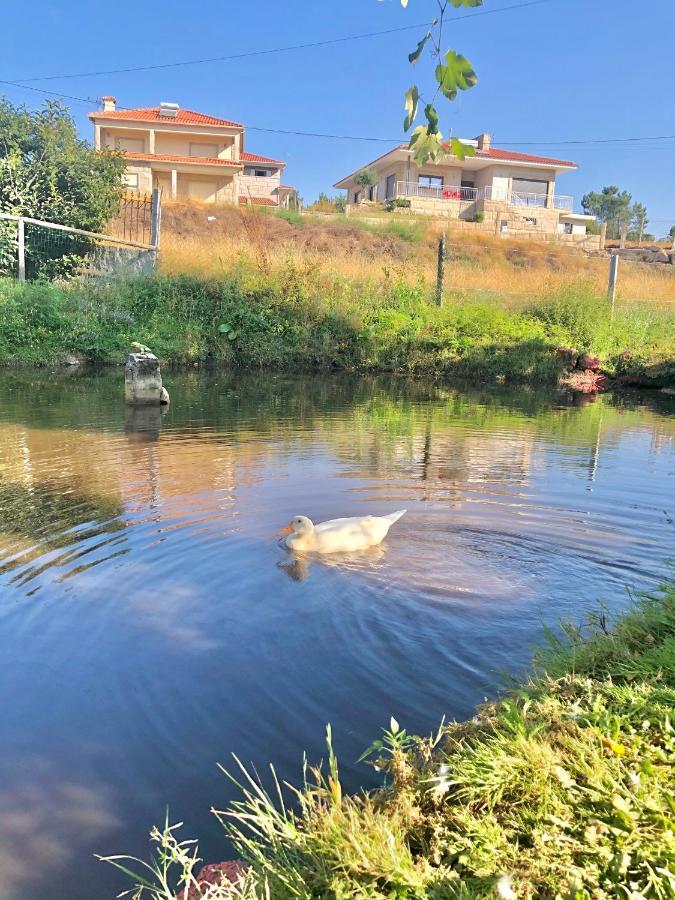 Villa Casa Da Quinta Da Prelada Simao Partie Basse Celorico De Basto Esterno foto