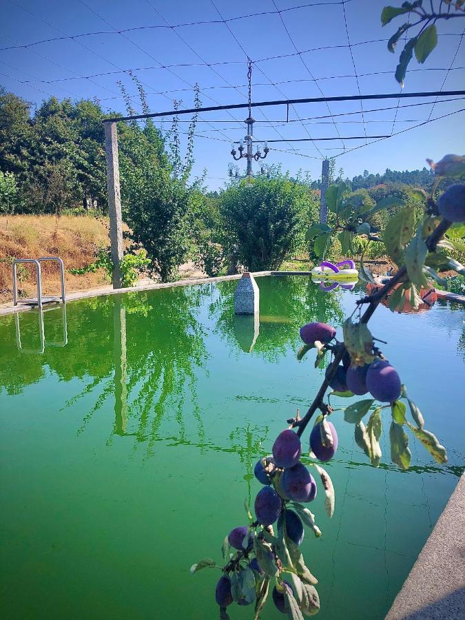 Villa Casa Da Quinta Da Prelada Simao Partie Basse Celorico De Basto Esterno foto