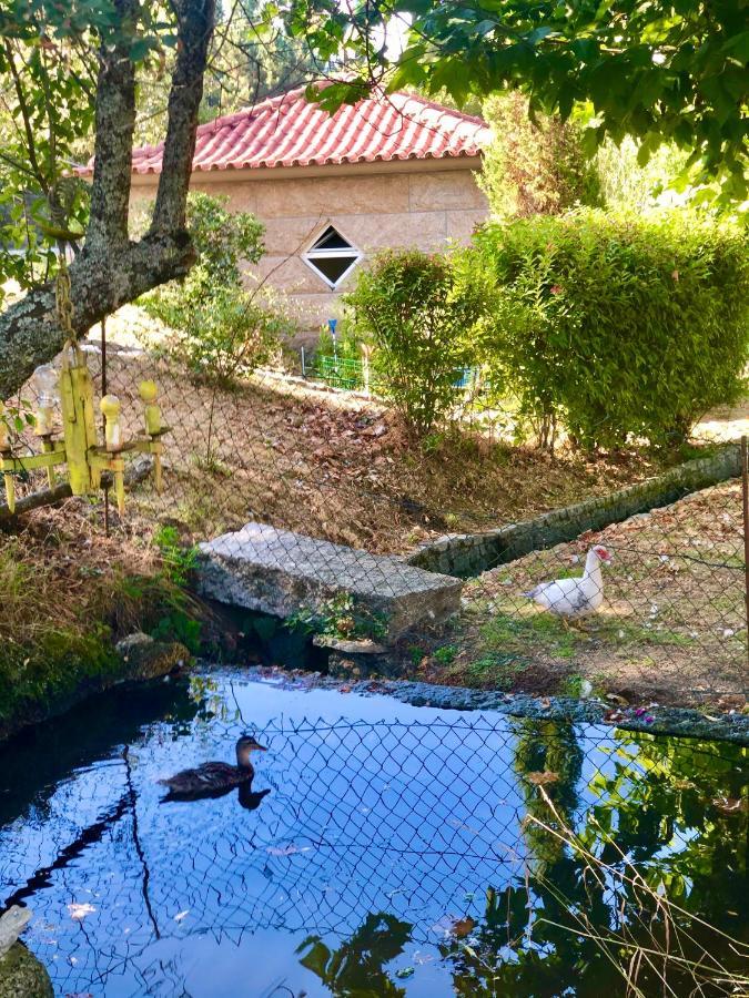 Villa Casa Da Quinta Da Prelada Simao Partie Basse Celorico De Basto Esterno foto