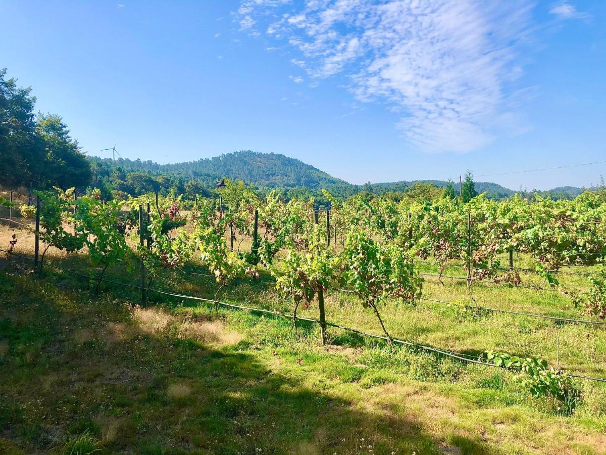 Villa Casa Da Quinta Da Prelada Simao Partie Basse Celorico De Basto Esterno foto