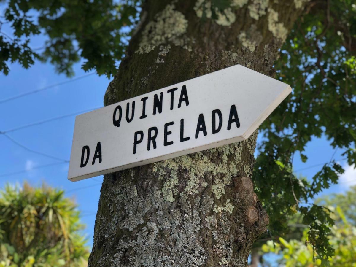 Villa Casa Da Quinta Da Prelada Simao Partie Basse Celorico De Basto Esterno foto