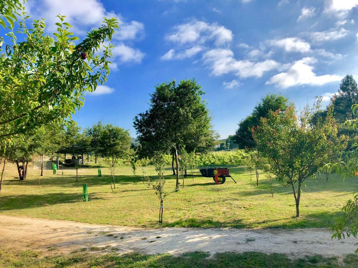 Villa Casa Da Quinta Da Prelada Simao Partie Basse Celorico De Basto Esterno foto