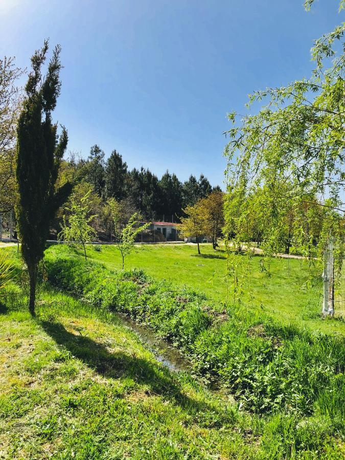 Villa Casa Da Quinta Da Prelada Simao Partie Basse Celorico De Basto Esterno foto